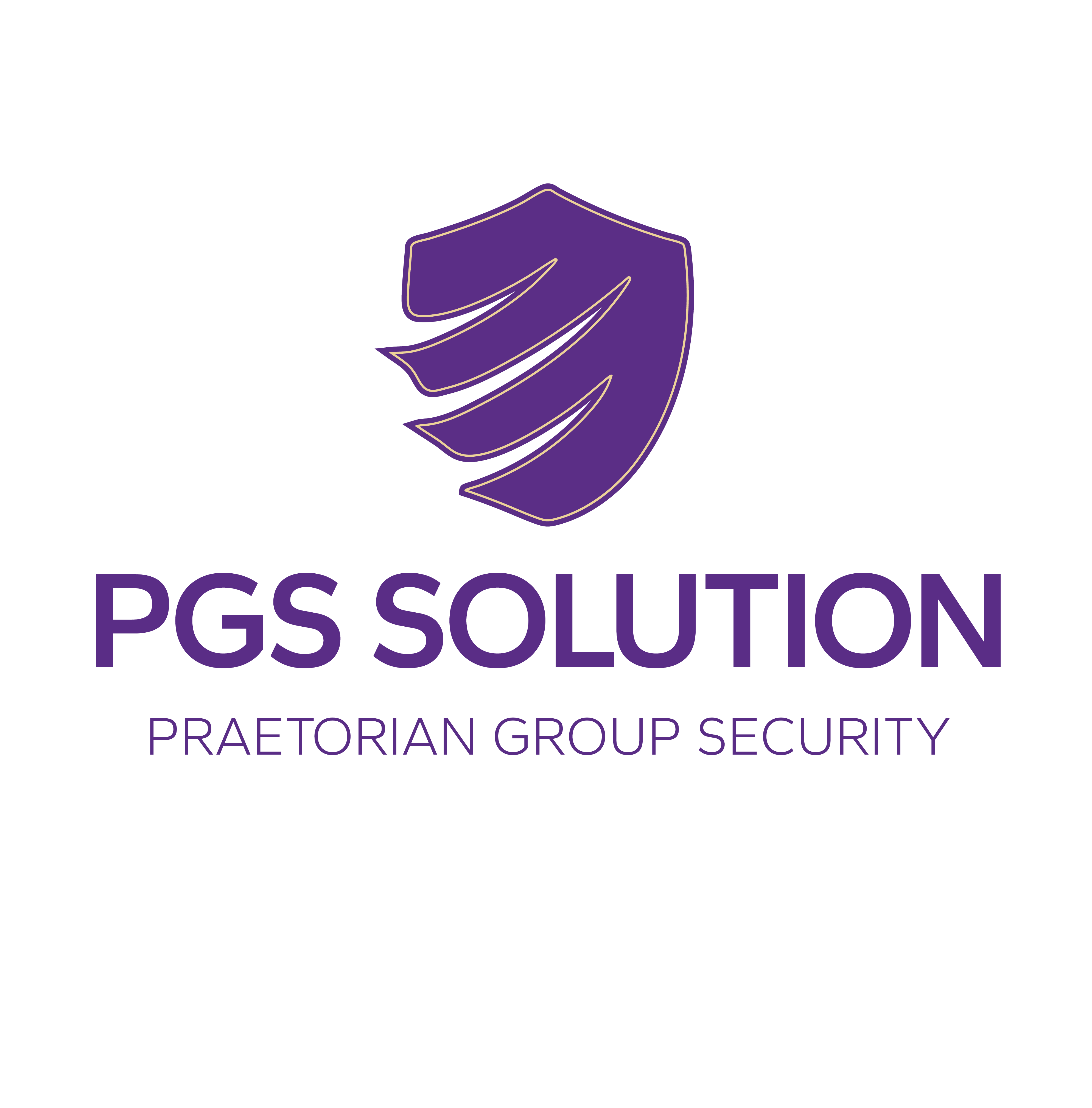 PGS SOLUTION